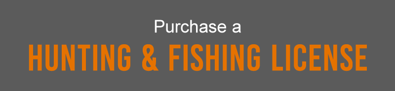 Purchase a Hunting and Fishing License
